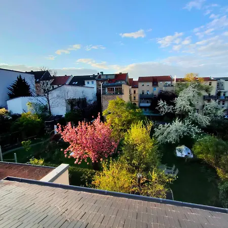 Ferienwohnung Am Landesmuseum Halle  Buitenkant foto